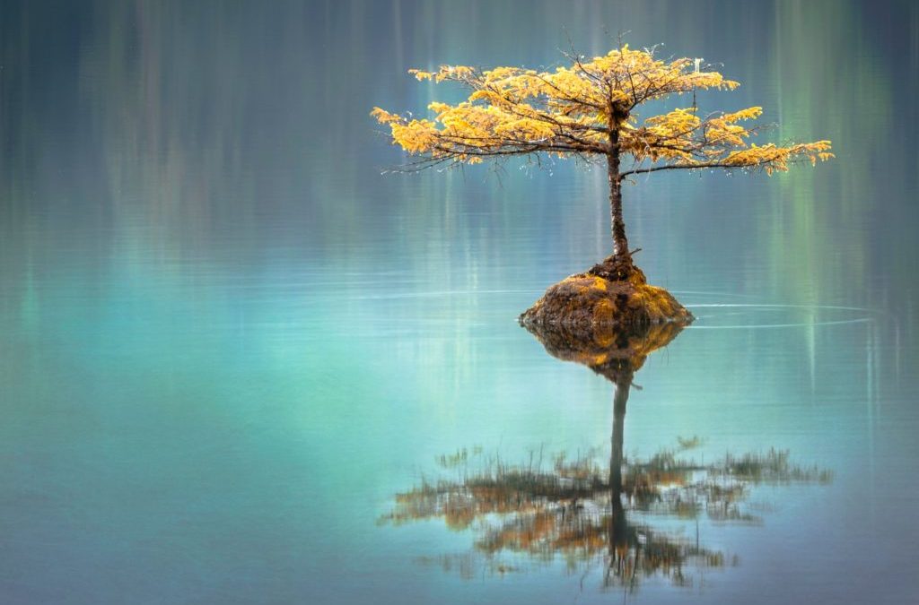 2019: a matter of Balance